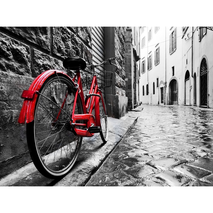 Panou decorativ din sticla securizata pentru bucatarie, protectie aragaz, antistropire, octopus oct236-80x60cm