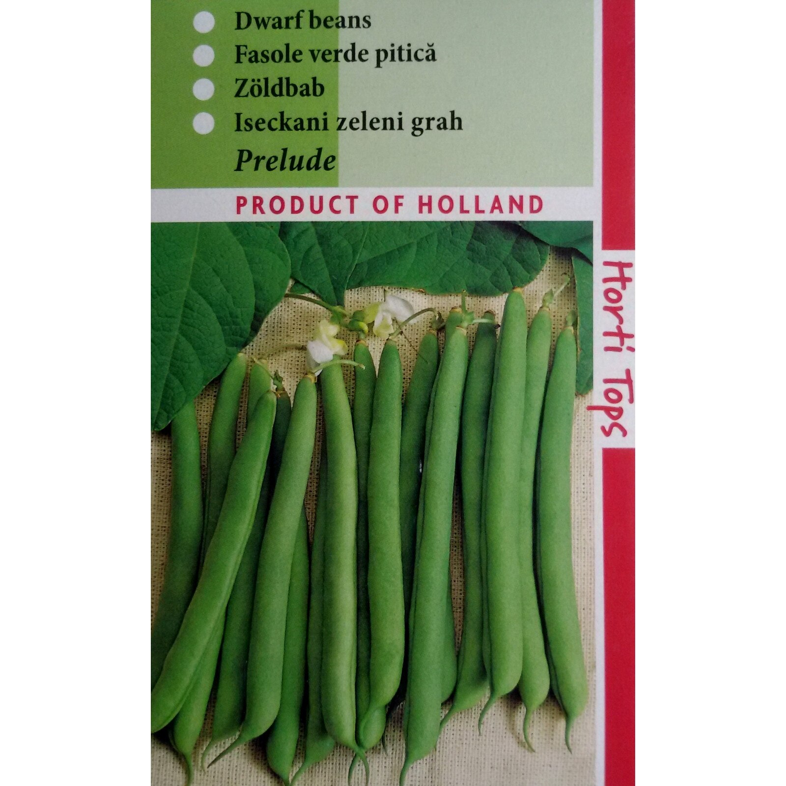 Seminte de Fasole Pitica Verde PRELUDE 250g