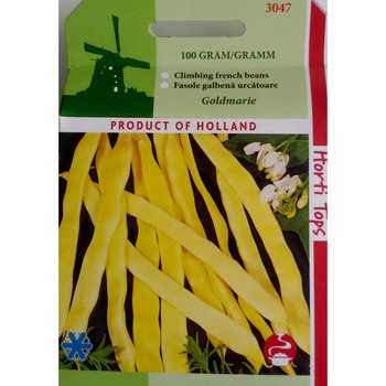 Seminte fasole agatatoare cu pastaie lata galbena Goldmarie (100g) Seminte fasole agatatoare cu pastaie lata galbena Goldmarie (100g)