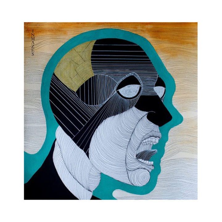 Vola - Inmazes [digipack] (cd)
