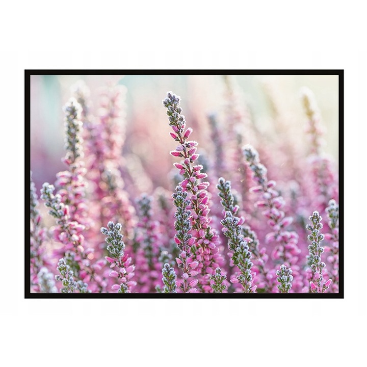 Poster cu rama, PoStar, MDF, 73x53 cm, Multicolor