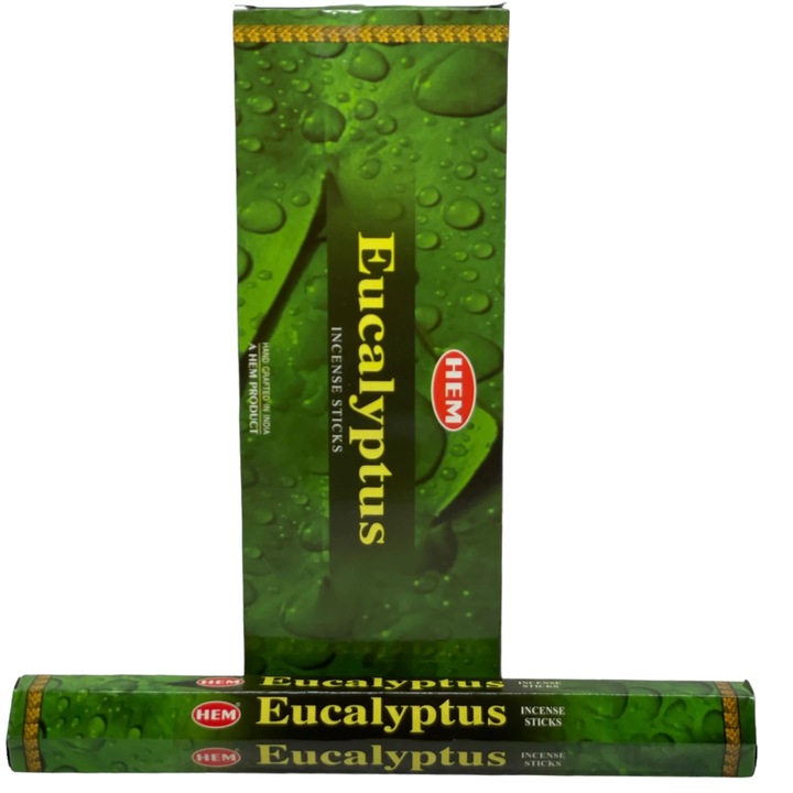 Set betisoare parfumate HEM, EUCALYPTUS, 1 set x 6 cutii x 20 betisoare