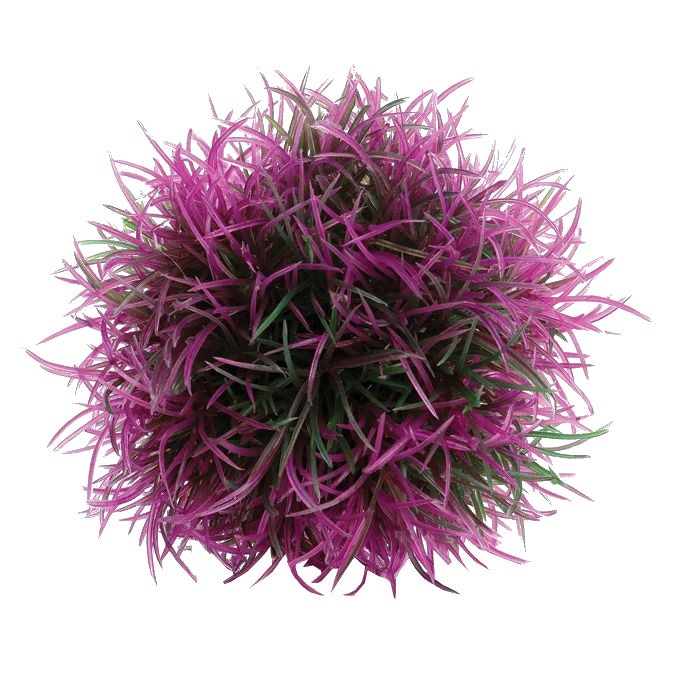 Decoratiune pentru acvariu Biorb minge acvatica mov