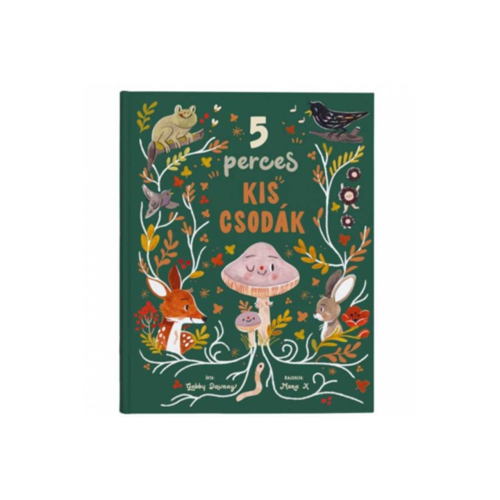 5 perces kis csodák