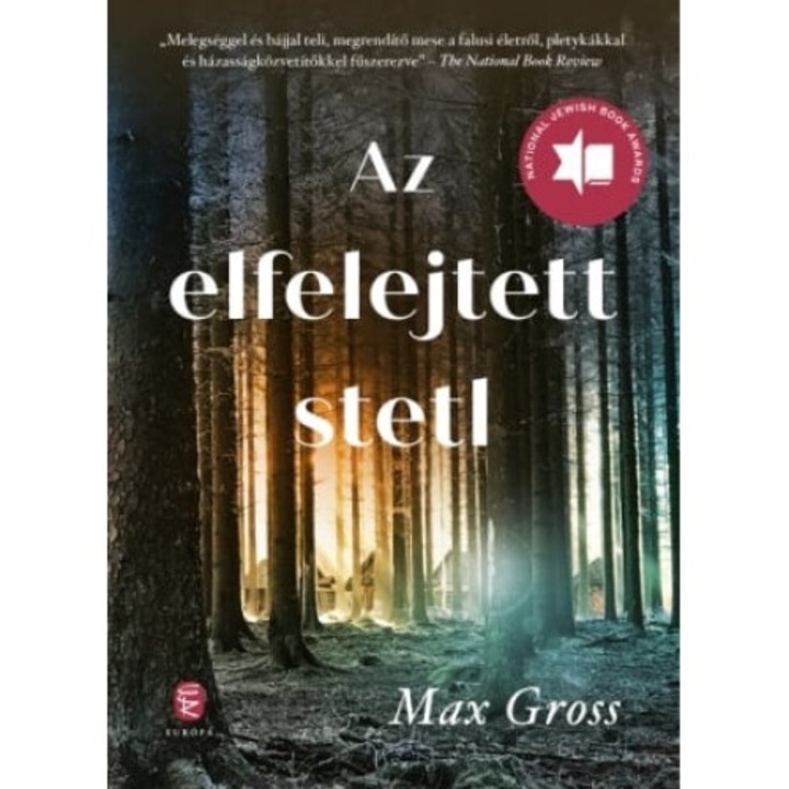 Max Gross: Az elfelejtett stetl