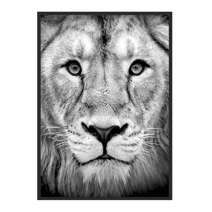 Poster decorativ cu rama, PoStar, MDF, 33x43 cm, Gri