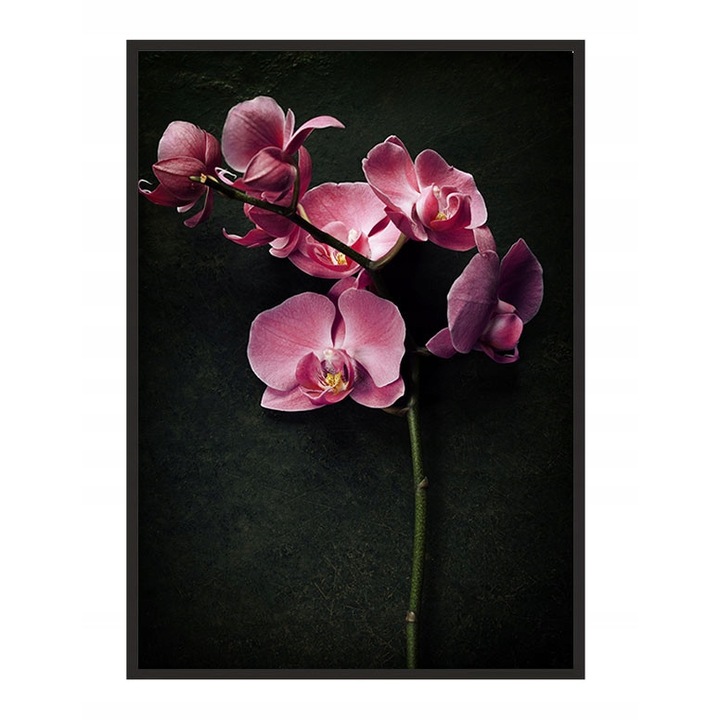 Poster decorativ cu rama, PoStar, MDF, 33x43 cm, Multicolor