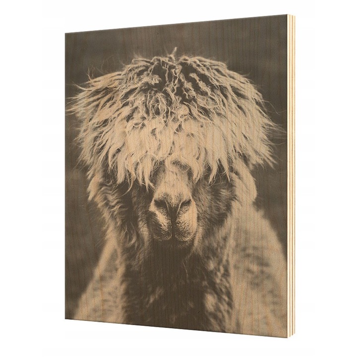 Poster decorativ, PoStar, Lemn, 28x39 cm, Maro