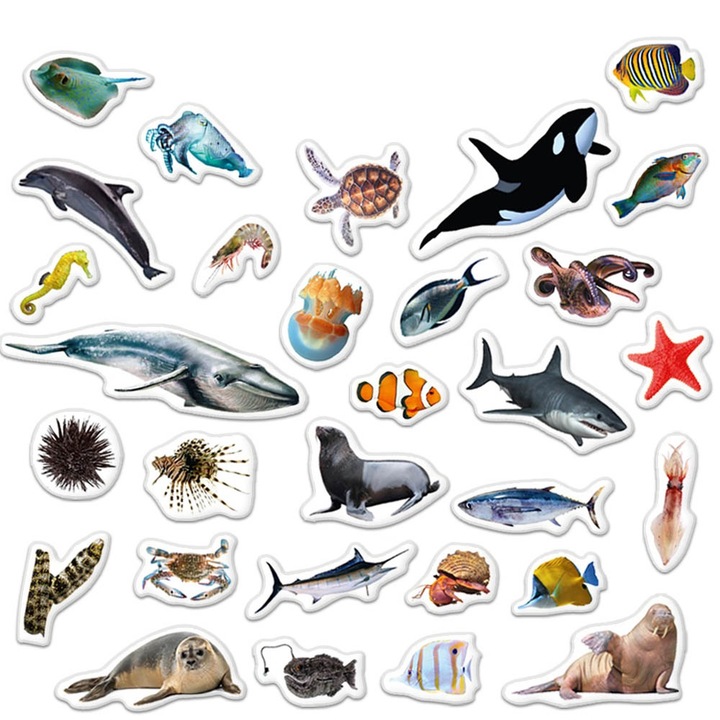 Комплект от 30 магнита Lean Toys, Морски животни, 3 години+, 8x5 см, Многоцветни