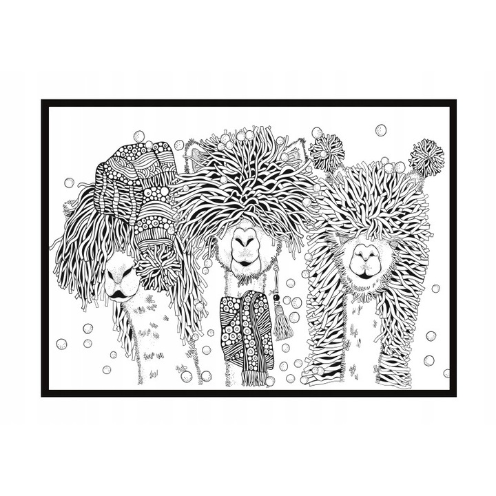 Poster decorativ cu rama, PoStar, MDF, 73x53 cm, Alb/Negru