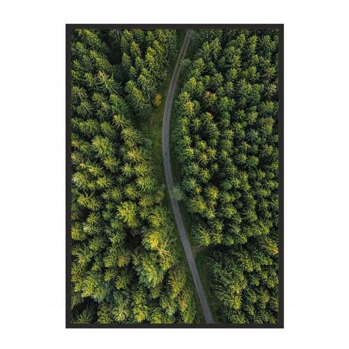 Poster decorativ cu rama, PoStar, MDF, 43x33 cm, Verde