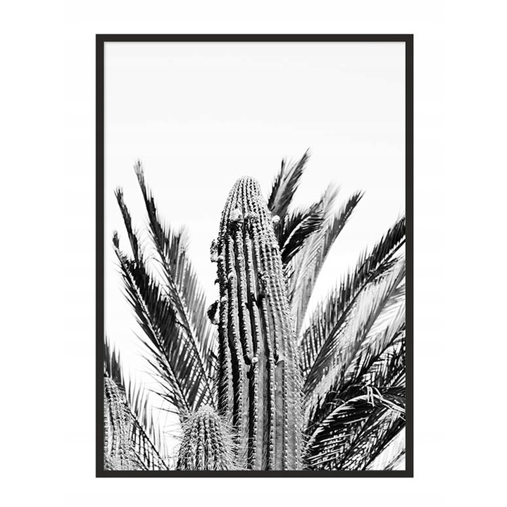 Poster decorativ cu rama, PoStar, MDF, 33x43 cm, Alb/Negru