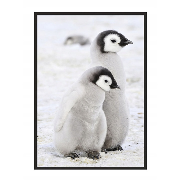 Poster decorativ cu rama, PoStar, MDF, 33x43 cm, Alb