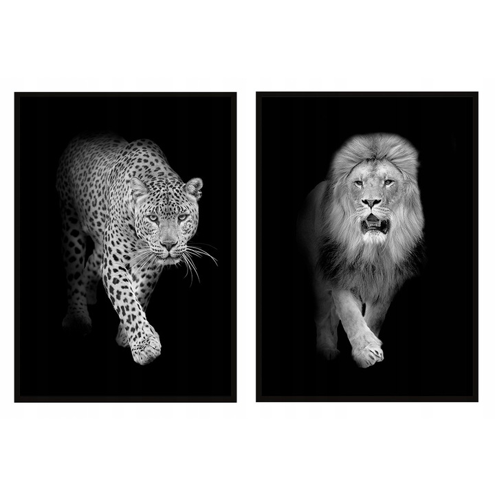 Poster decorativ cu rama PoStar, 33 x 43 cm, MDF, Alb, Negru