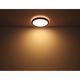 Плафон BRUNO 41764-12 Globo Lighting