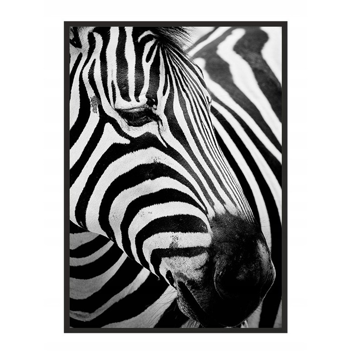 Poster decorativ cu rama, PoStar, MDF, 33x43 cm, Alb/Negru