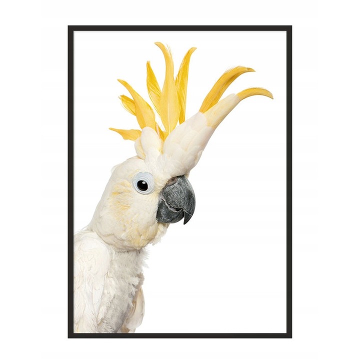 Poster decorativ cu rama PoStar, 33 x 43 cm, MDF, Multicolor