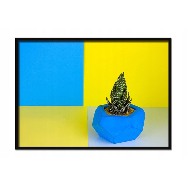 Рамкиран постер Растение, PoStar, 33x43 см, Многоцветен