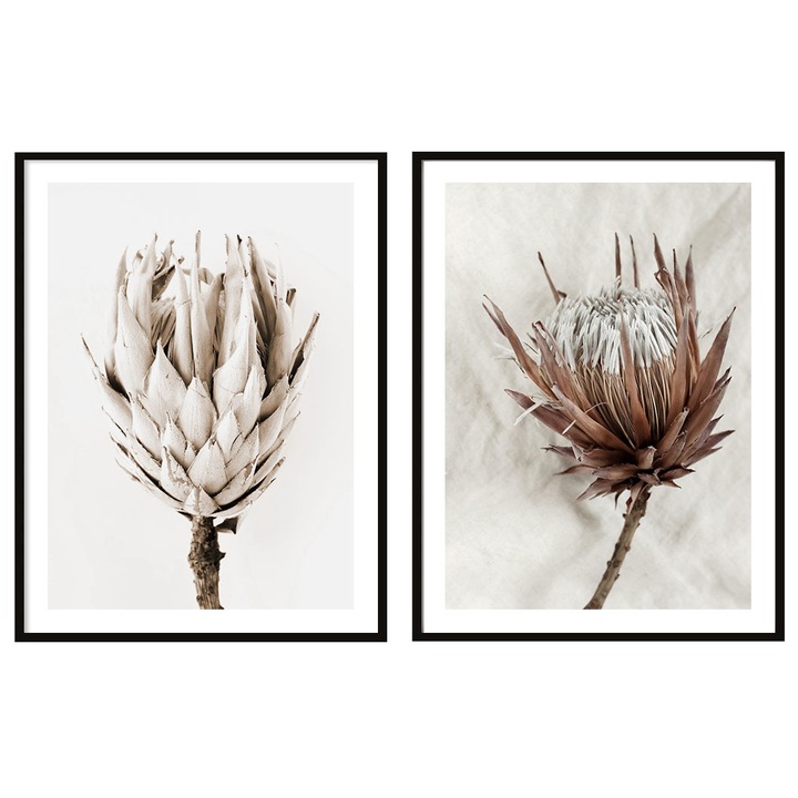 Set poster cu rama, PoStar, P2080, MDF, Bej, 2buc