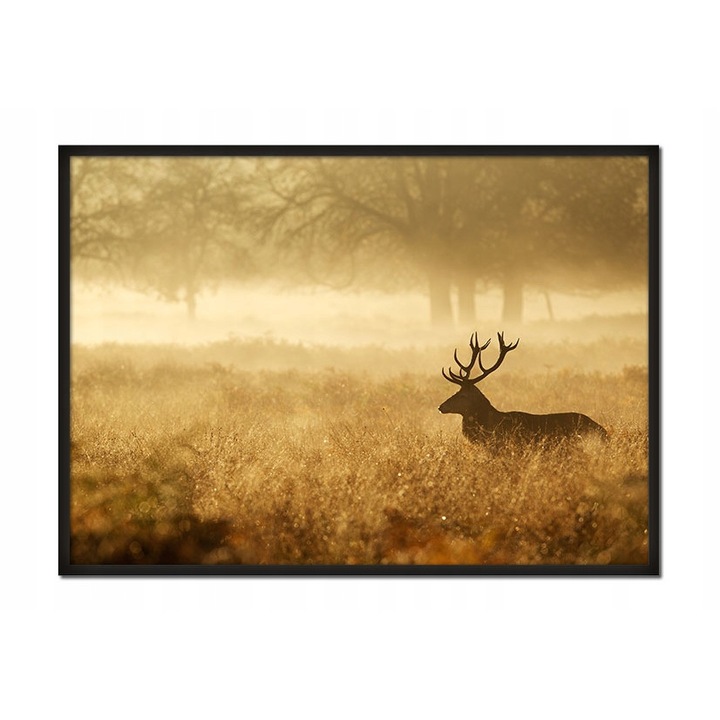 Poster cu rama Deer, PoStar, 53x73 cm, Maro