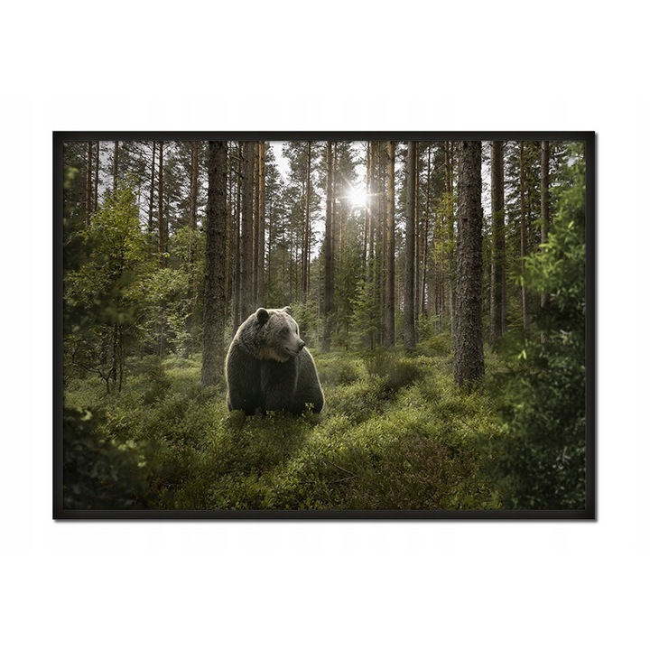 Рамкиран постер Мече, PoStar, 33x43 см, Зелен/Кафяв