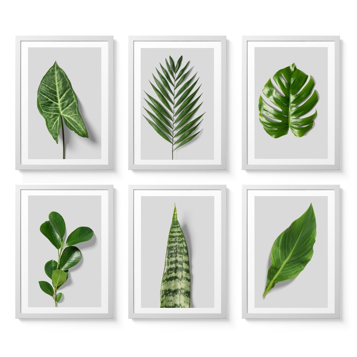 Set postere cu rama, PoStar, G007, 33x43, A3, MDF, Multicolor, 6 buc