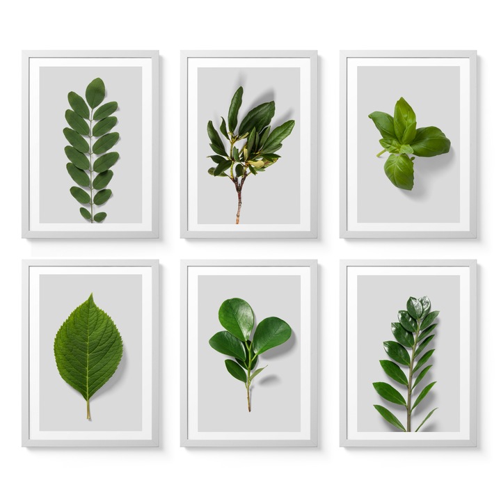 Set postere cu rama, PoStar, G006, 33x43, A3, MDF, Multicolor, 6 buc