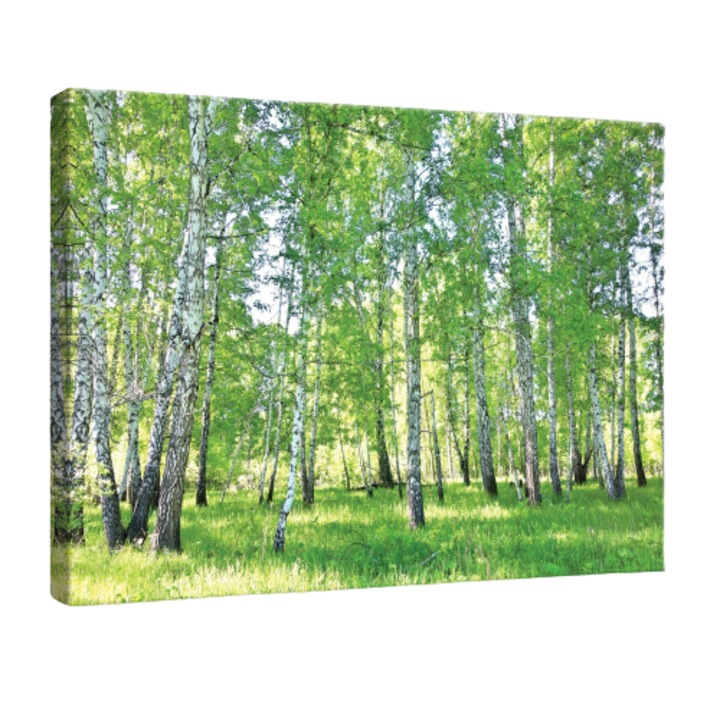 Tablou Canvas Padure Natura Peisaj 100x70 cm, Modern Design Tablou, Pentru Living Dormitor Camera De Zi, Creative Decor