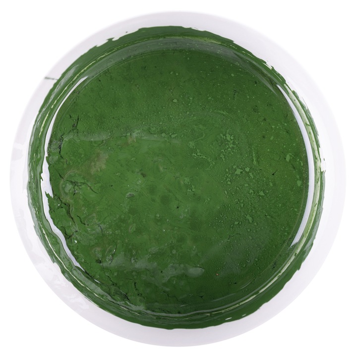 Pigment epoxidic Megapoxy Verde 200Gr