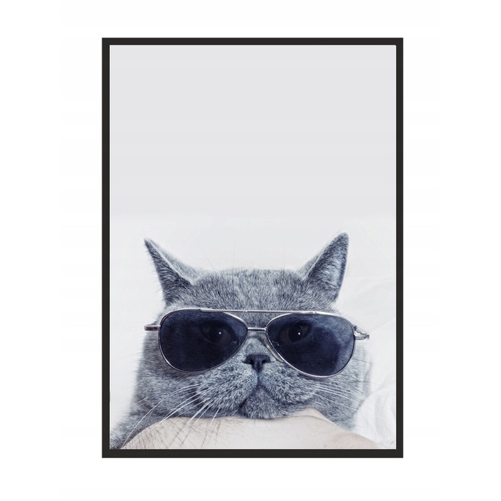 Постер в рамка Cat, PoStar, 33x43 см, сив