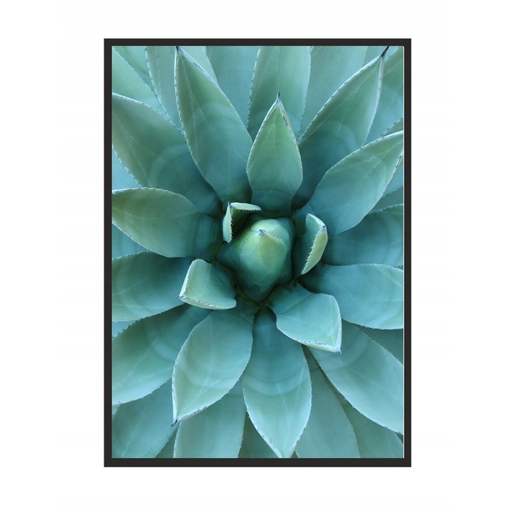 Poster cu rama Plant, PoStar, 33x43 cm, Verde