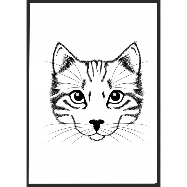 Рамкиран постер Котка, PoStar, 33x43 см, черно/бяло