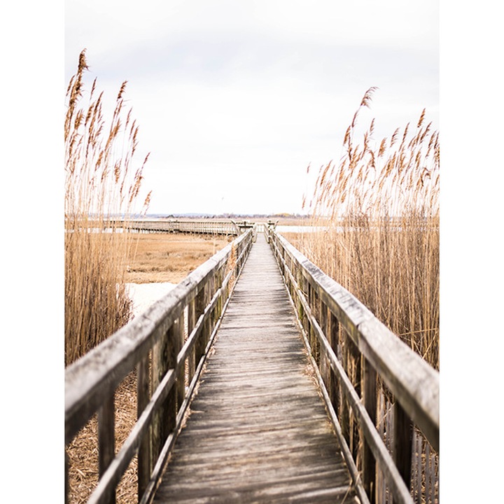 Falikép, PoStar, SF_F008, Fizelina, 285x254 cm