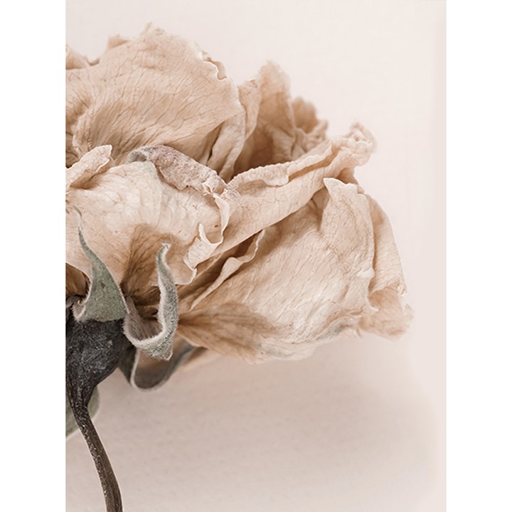 Virágszirom mintás fotótapéta, 190 x 254 cm