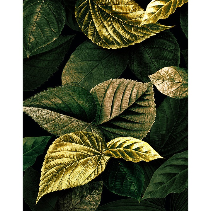 Fototapet Leaf, PoStar, Fibre sintetice, 200x254 cm, Verde/Auriu