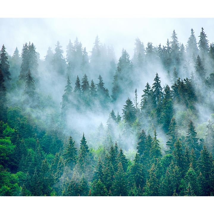 Erdei tapéta, PoStar, Szintetikus szál, 300x254 cm, Zöld