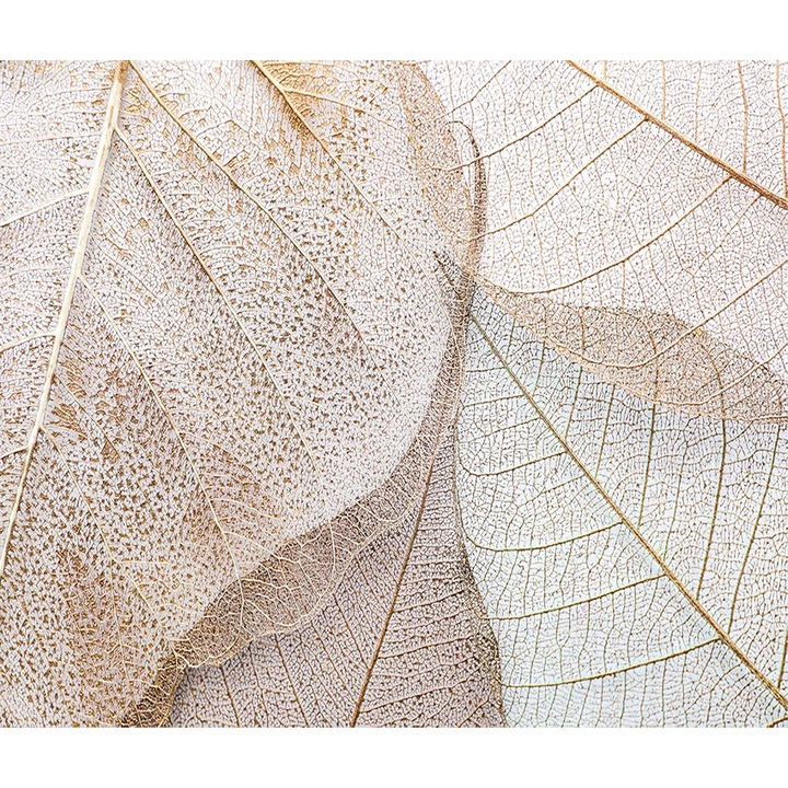 Levéltapéta, PoStar, Szintetikus szál, 300x254 cm, Bézs