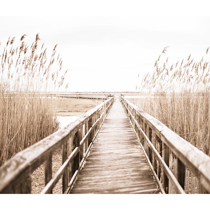 Nád tapéta, PoStar, Szintetikus szál, 300x254 cm, Bézs