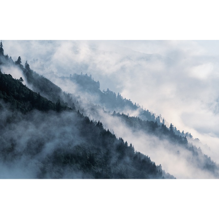 Erdei tapéta, PoStar, Szintetikus szál, 400x254 cm, Kék/Fehér