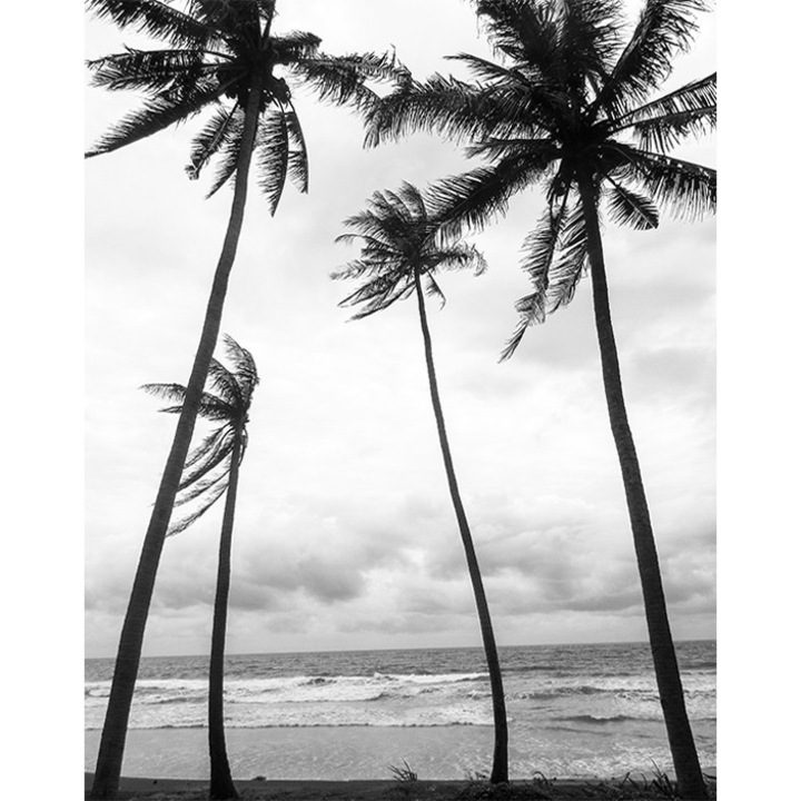 Strand tapéta, PoStar, Szintetikus szál, 200x254 cm, Fehér/Fekete