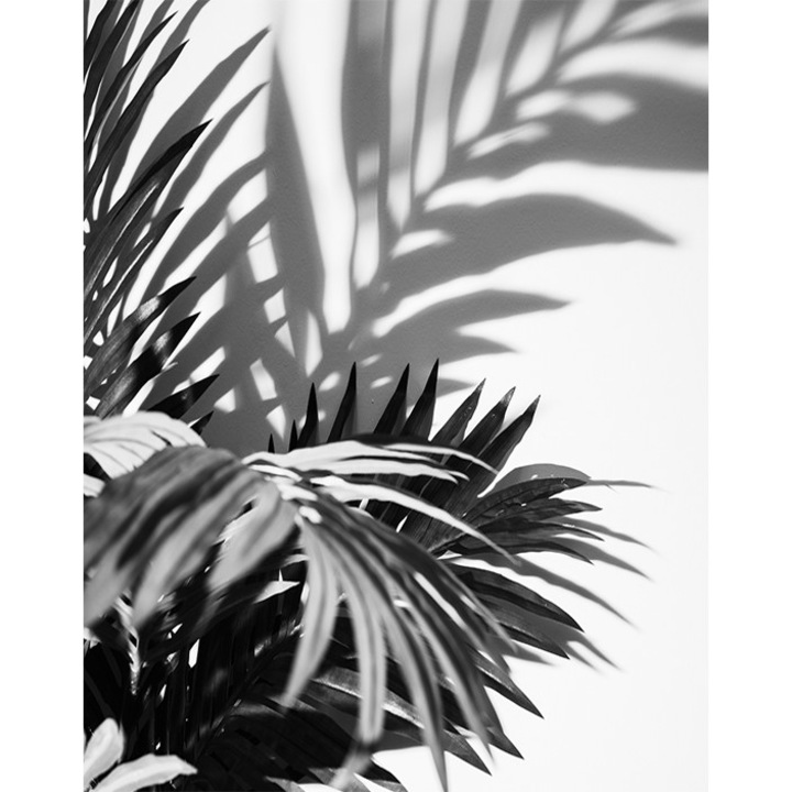 Levél tapéta, PoStar, Szintetikus szál, 200x254 cm, Fehér/Fekete