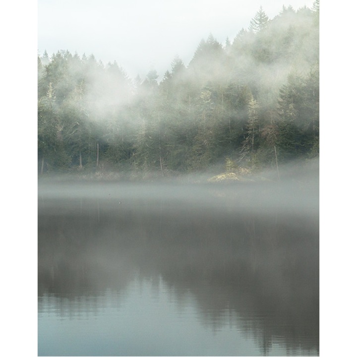 Tótapéta, PoStar, Szintetikus szál, 200x254 cm, Többszínű