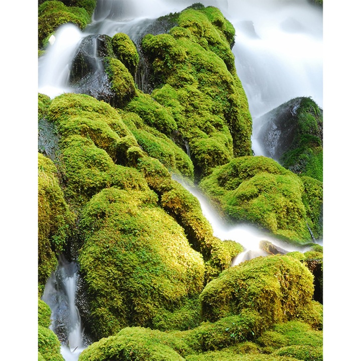 Tapéta Vízesés, PoStar, Szintetikus szál, 200x254 cm, Zöld/Fehér