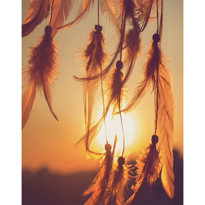 Toll tapéta, PoStar, Szintetikus szál, 200x254 cm, Narancs