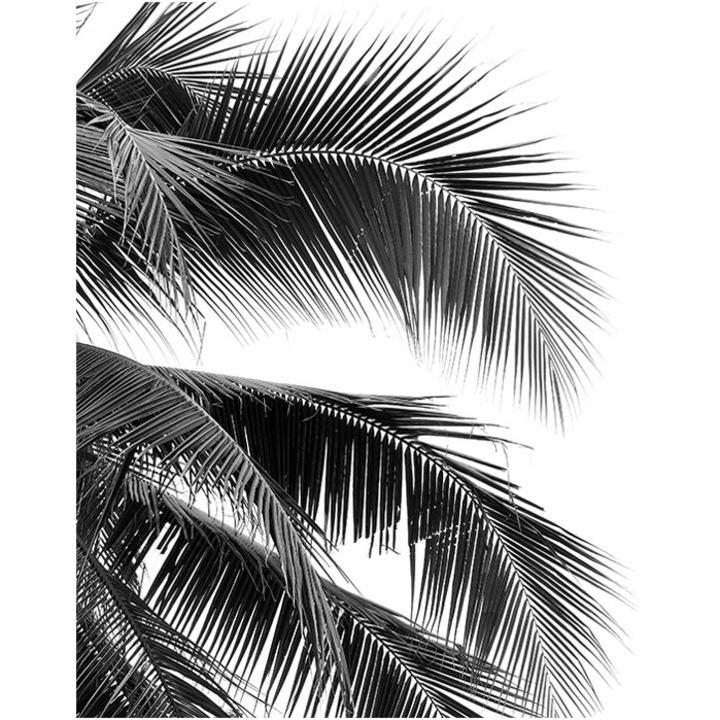 Levél tapéta, PoStar, Szintetikus szál, 200x254 cm, Fehér/Fekete