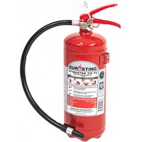 Stingator presurizat Eurosting cu pulbere tip P3, 3 kg, cu suport de prindere inclus, valabilitate 5 ani