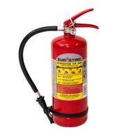 Stingator presurizat Eurosting cu spuma mecanica tip SM3, 3 l, cu suport de prindere inclus, valabilitate 3 ani