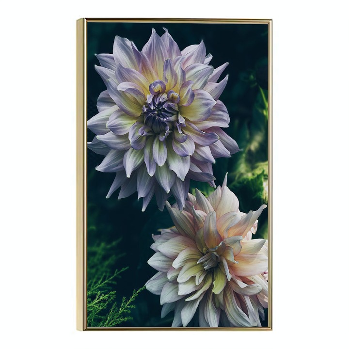 Tablou Poster Inramat, Dahlia Flowers, 21 x 30 cm, Rama Aurie