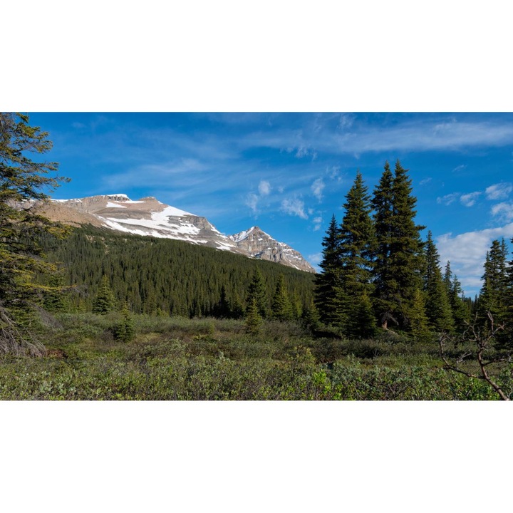 PVC öntapadó tapéta - Hegyi táj 087, 100 x 150 cm