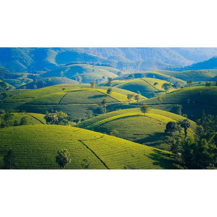 PVC öntapadós tapéta - Hegyi táj 150, 100 x 150 cm